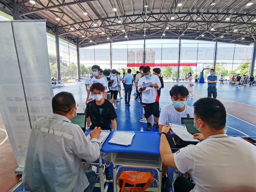 疫情影響下蔡甸職校生 從校門到廠門無縫對接，職業中介服務助力就業關